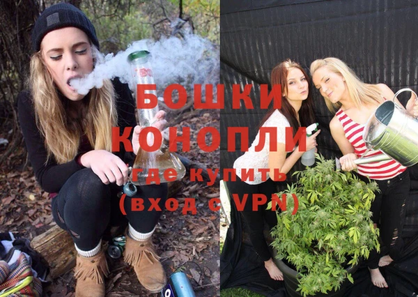 молекула духа Рославль