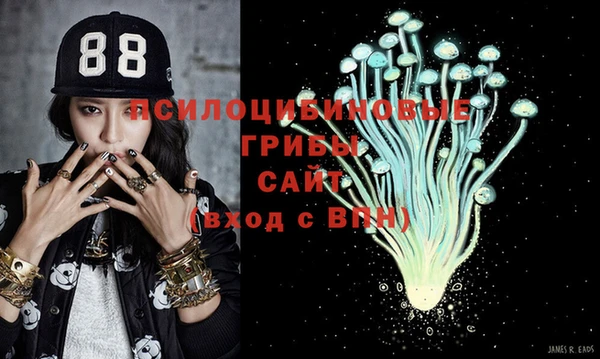 гидропоника Россошь