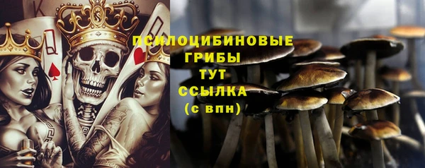 молекула духа Рославль